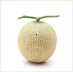 网上的吃瓜是什么意思,“吃瓜”背后的含义与趣味